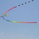 Drachenfest_2010_056