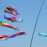 Drachenfest_2010_064