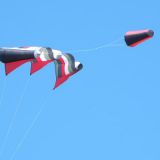 Drachenfest_2010_082