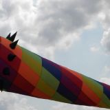 Drachenfest_2011_020