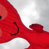 Drachenfest_2011_041