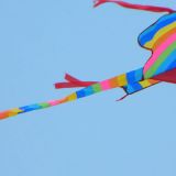 Drachenfest_2011_043