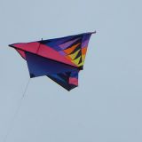 Drachenfest_2011_064