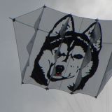 Drachenfest_2011_065