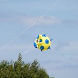 Drachenfest_2012-0027