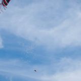 Drachenfest_2012-0069