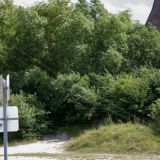 Drachenfest_2012-0075