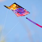 Drachenfest_2012-0133