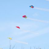 Drachenfest_2012-0138