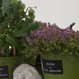 Gewerbeschau_2014_305