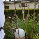 Gewerbeschau_2014_77