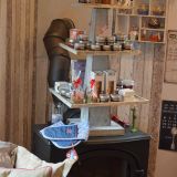 Gewerbeschau_2014_79