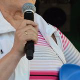 Seebrueckenfest_2014_31