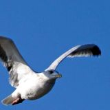 moeve_von_jochenruser