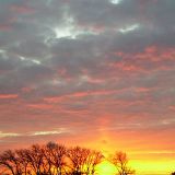 20080712_1646082053_imgp0632