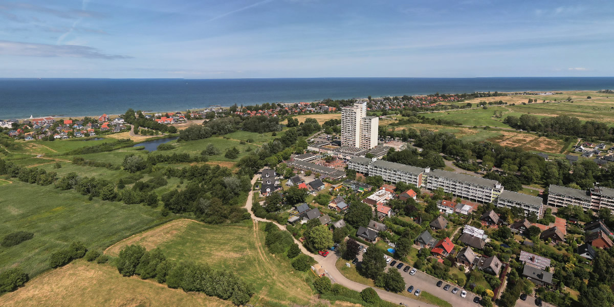 Kalifornien, Brasilien & Holm