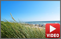 Am Strand & Deich Am Strand & Deich