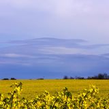 Katharina_Moeller-Frank